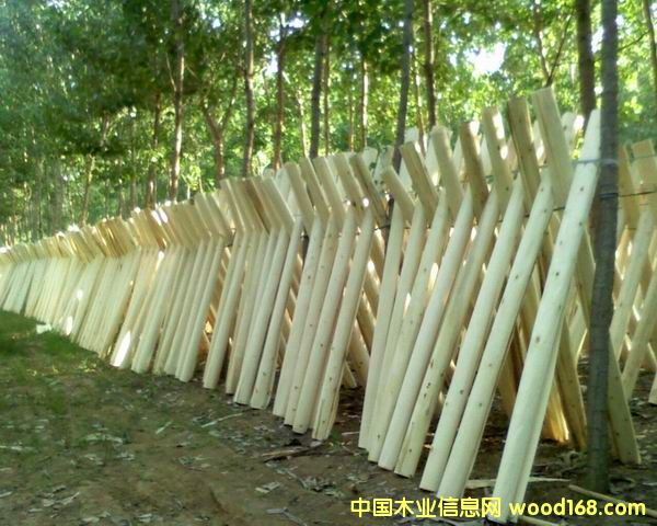 c鿴2.6ƤŴDƬ
