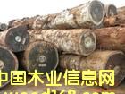 c(din)鿴ľM(jn)Ͼ(bo)P(gun)/ϾľĈ(bo)P(gun)/ľM(jn)̵Ԕ(x)Y