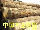 c(din)鿴ľM(jn)麣(bo)P(gun)/麣M(jn)ľP(gun)/麣ľĈ(bo)P(gun)еԔ(x)Y