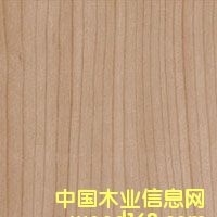 c鿴ֱyŴDƬ