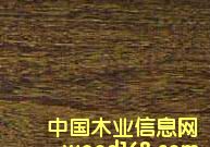 c鿴ρľŴDƬ