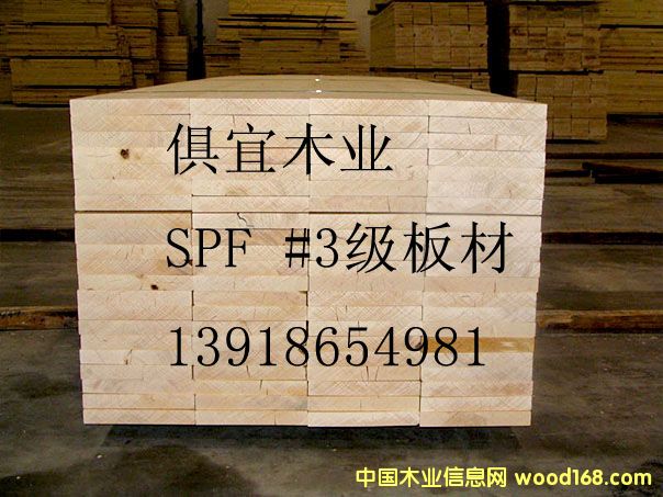 spf-#3ĵԔB