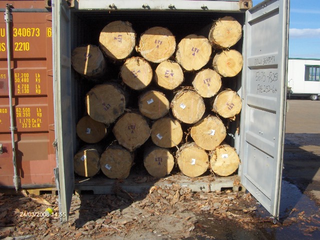 NZ PINEԔB