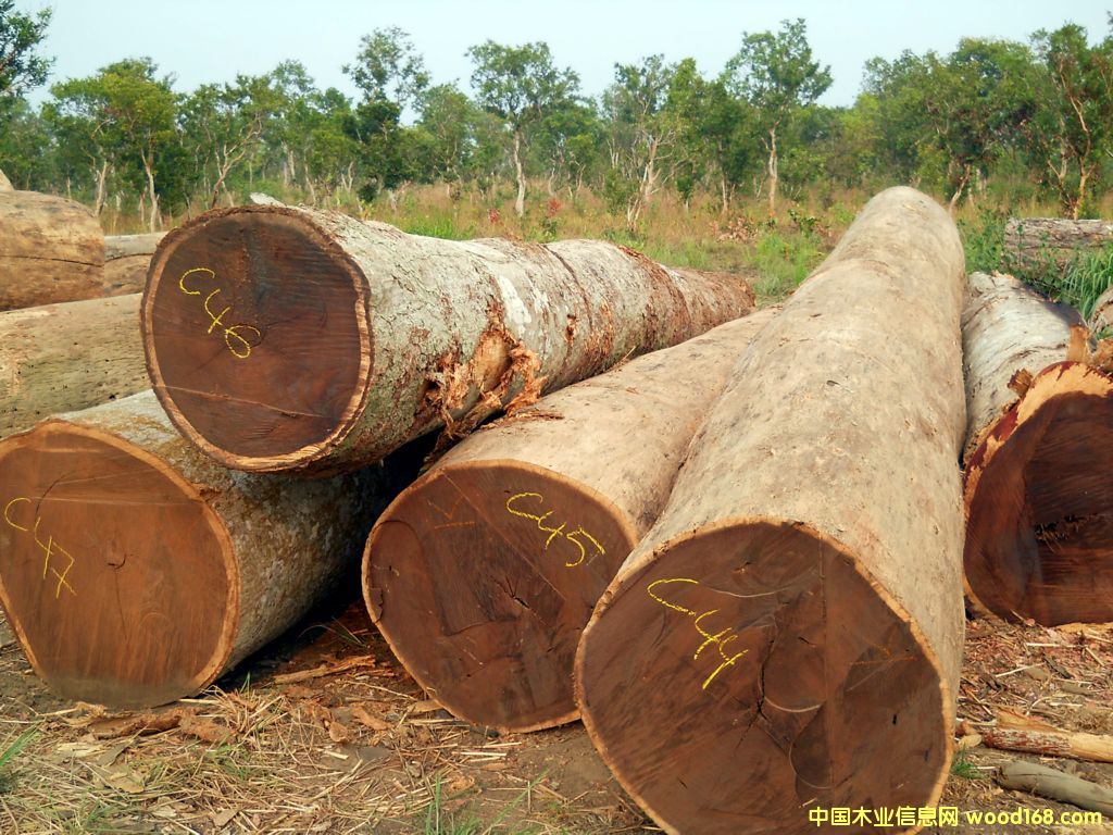 wenge logԔB