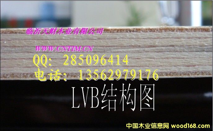 18mm LVB CARB13562979176Ԕ(x)B
