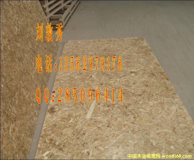 ɽ|ROSBٻa(chn)(yng)13562979176Ԕ(x)B