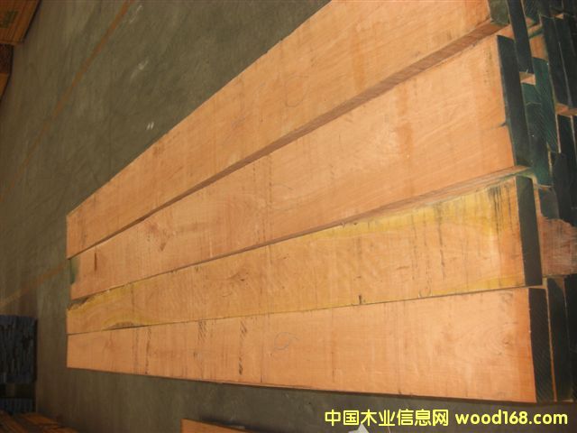 ľ5.08cm1(j)Ҏ(gu)Ԕ(x)B