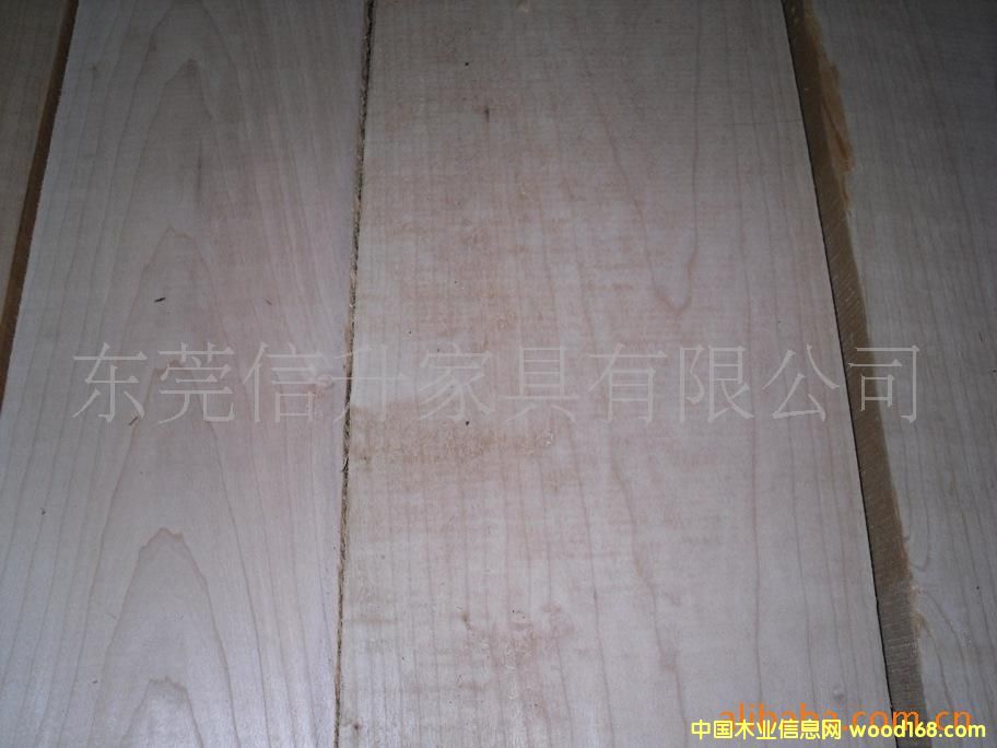 ̫ƽľ8/4 PC MAPLE 50mmԔB