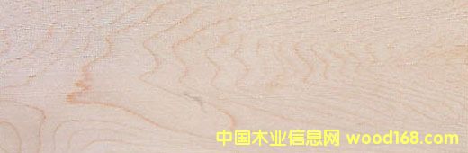 Ӳ Hard MapleԔ(x)B