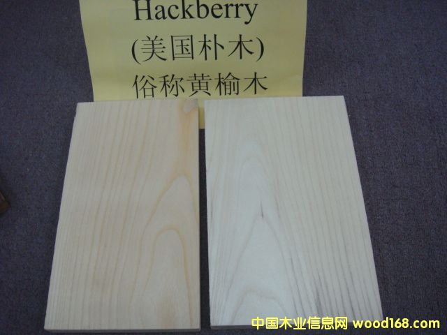 (gu)Sľ HackberryԔ(x)B