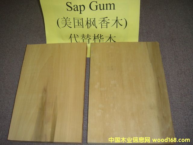 (gu)ľ Sap GumԔ(x)B