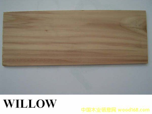 (gu)ľW(wng)illowԔ(x)B