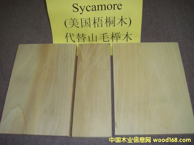 (gu)ͩ SycamoreԔ(x)B