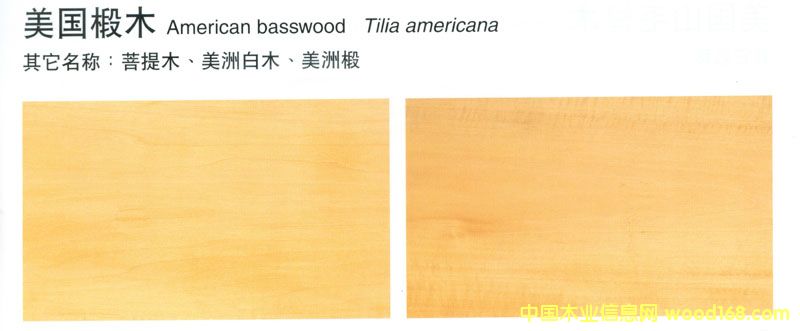 (gu)ľBasswoodԔ(x)B