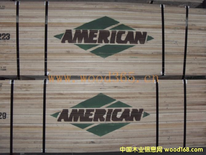 AMERICANԔB