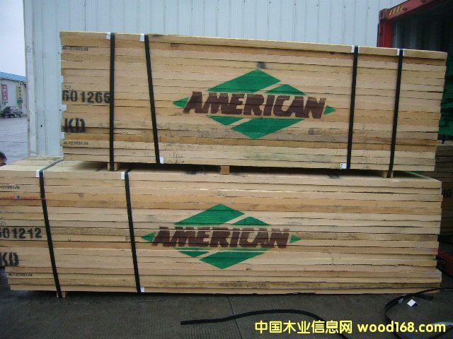 ľI(AMERICAN)ԔB