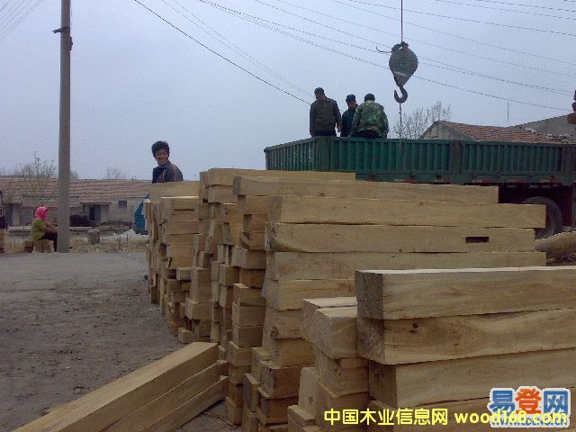 老榆木的詳細介紹