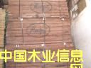 黑胡桃的詳細介紹