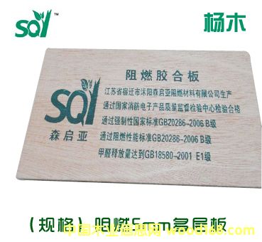 ȼ5Ӱ壨ľ