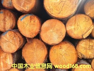 pine logԔ(x)B