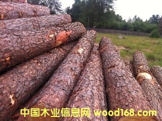 pineԔ(x)B