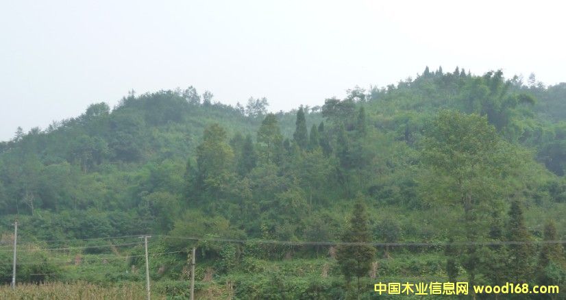 Ĵʡɶ߅3000஀òֵD(zhun)׌ԔB