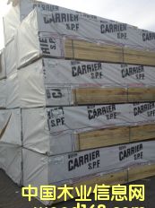 #3 SPF CARRIERԔB