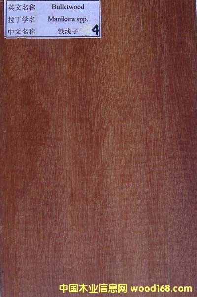 F(bulletwood)