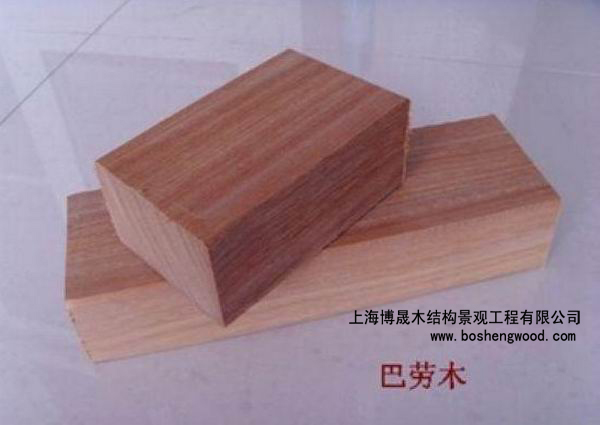 巴勞木的詳細介紹