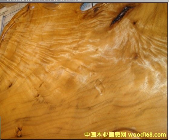 茶海的詳細介紹