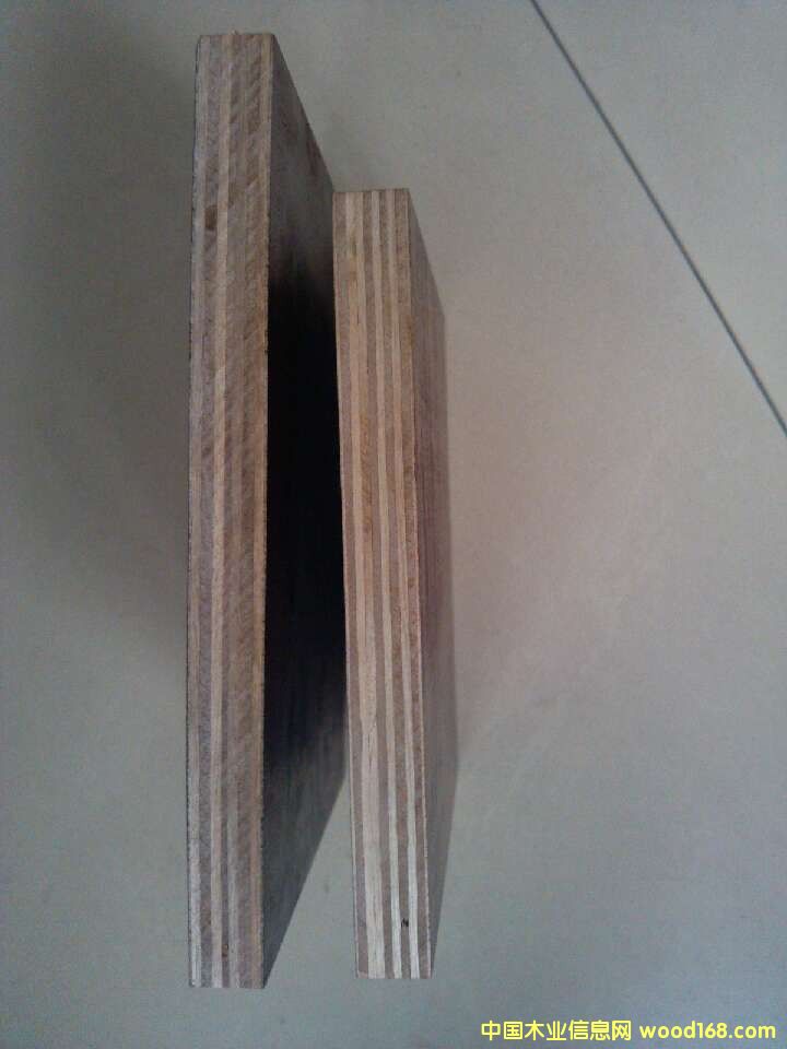 ȩzľԔB