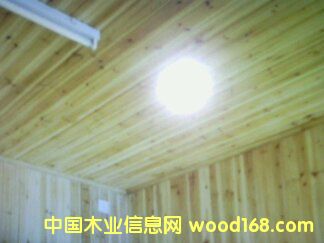 杉木的詳細介紹