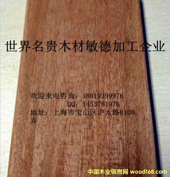 柳桉木的詳細介紹