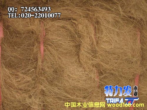 椰絲的詳細介紹