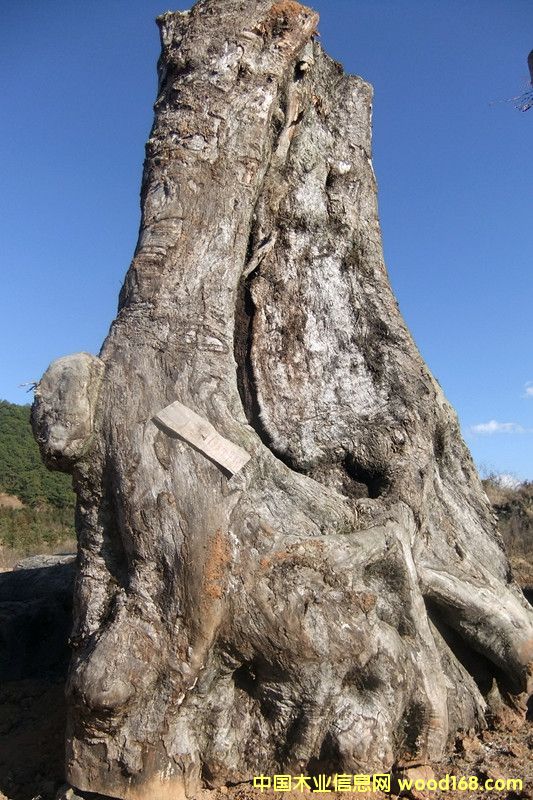 ľԔB