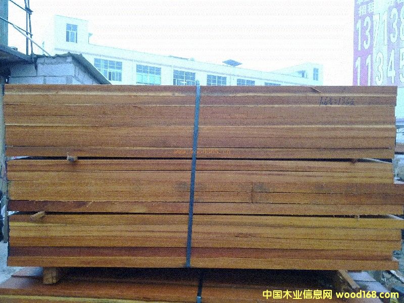 金不換的詳細介紹