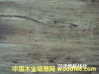 Ҿf̎턩ԔB
