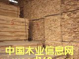 楊木方的詳細介紹