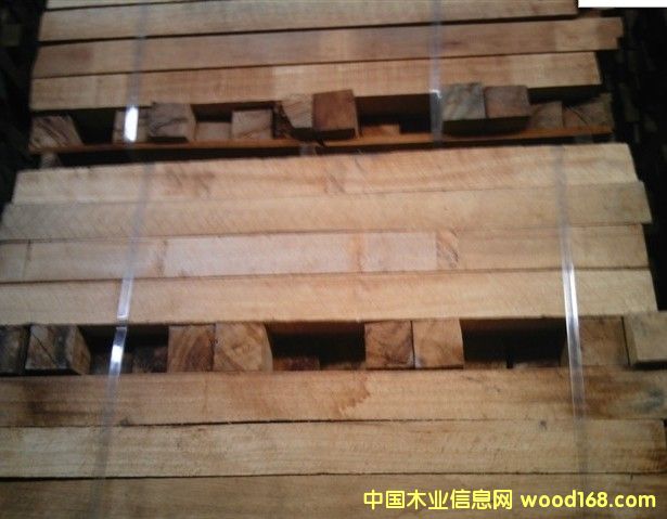 橡膠木的詳細介紹