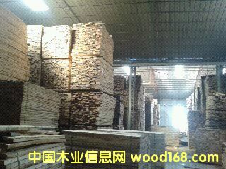 樺木的詳細介紹