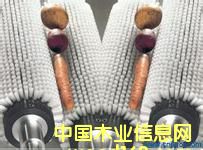 c鿴ȥƤCëˢԔY