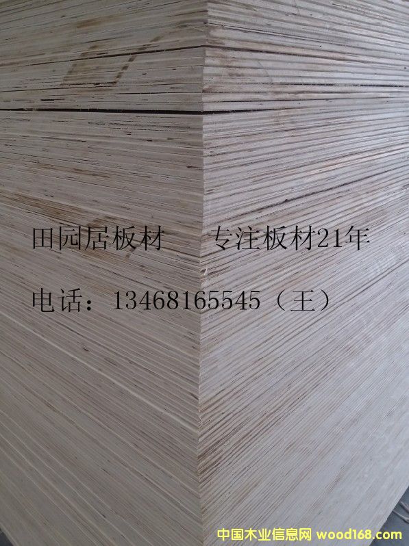 25оBԔB