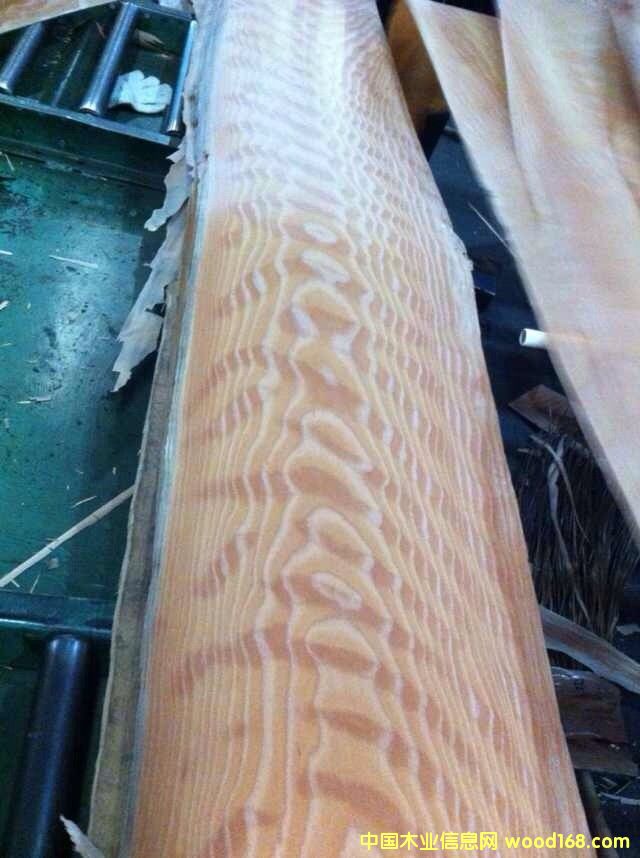ľӰԔB
