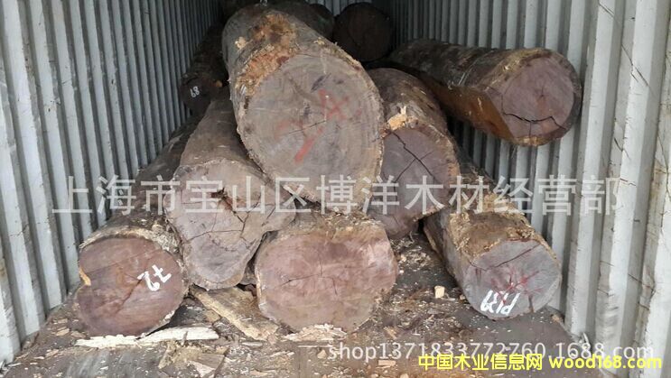 白酸枝的詳細介紹