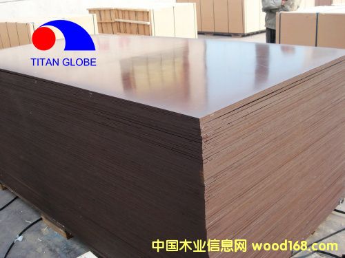 Shuttering Plywood-Titan GlobeԔB