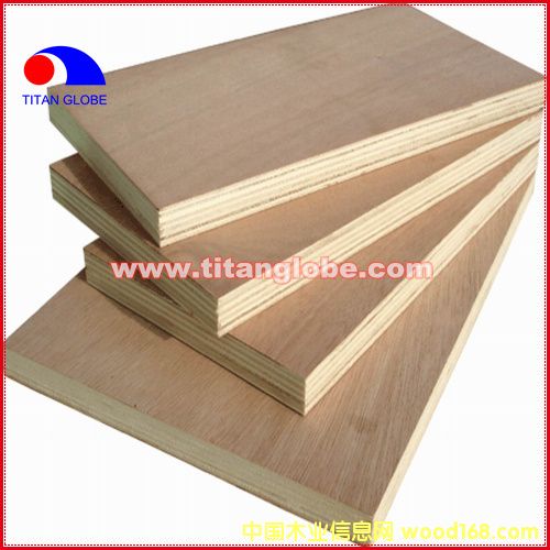 Okoume Plywood-Titan GlobeԔB