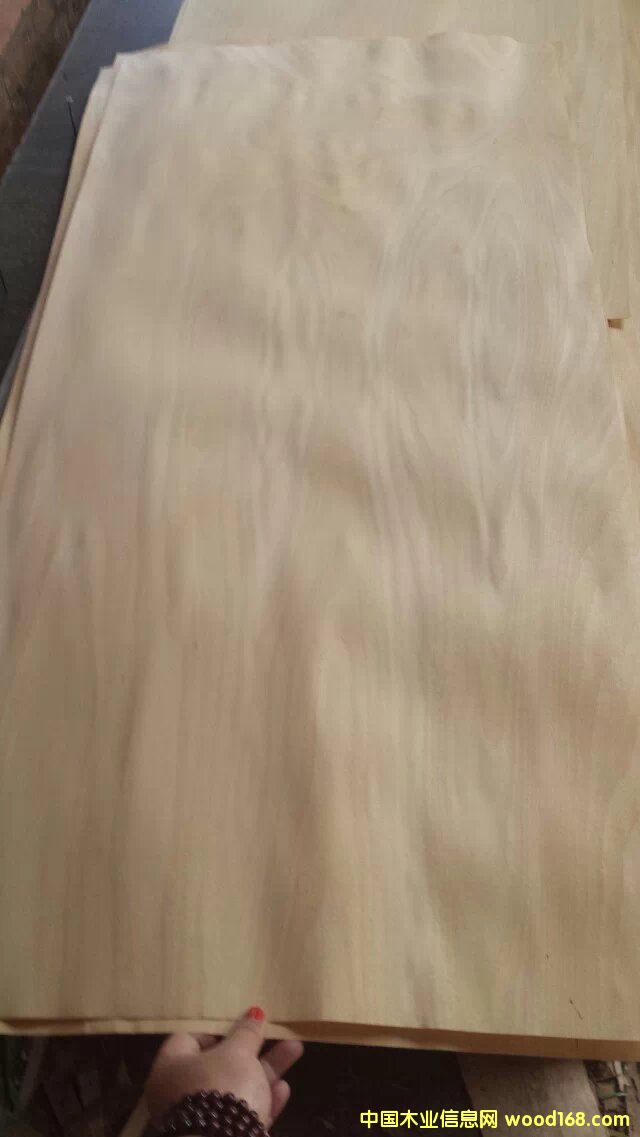 FSC ľԔB