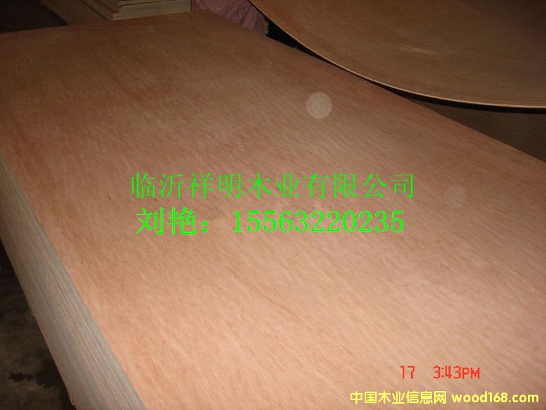9tsľװbԔB