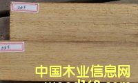 柚木的詳細介紹