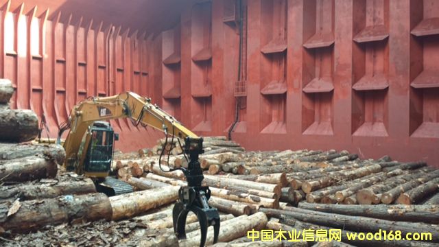 Ϸ Southern Yellow Pine logs ԔB